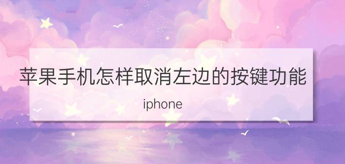 苹果手机怎样取消左边的按键功能 iphone 13侧边按键功能？